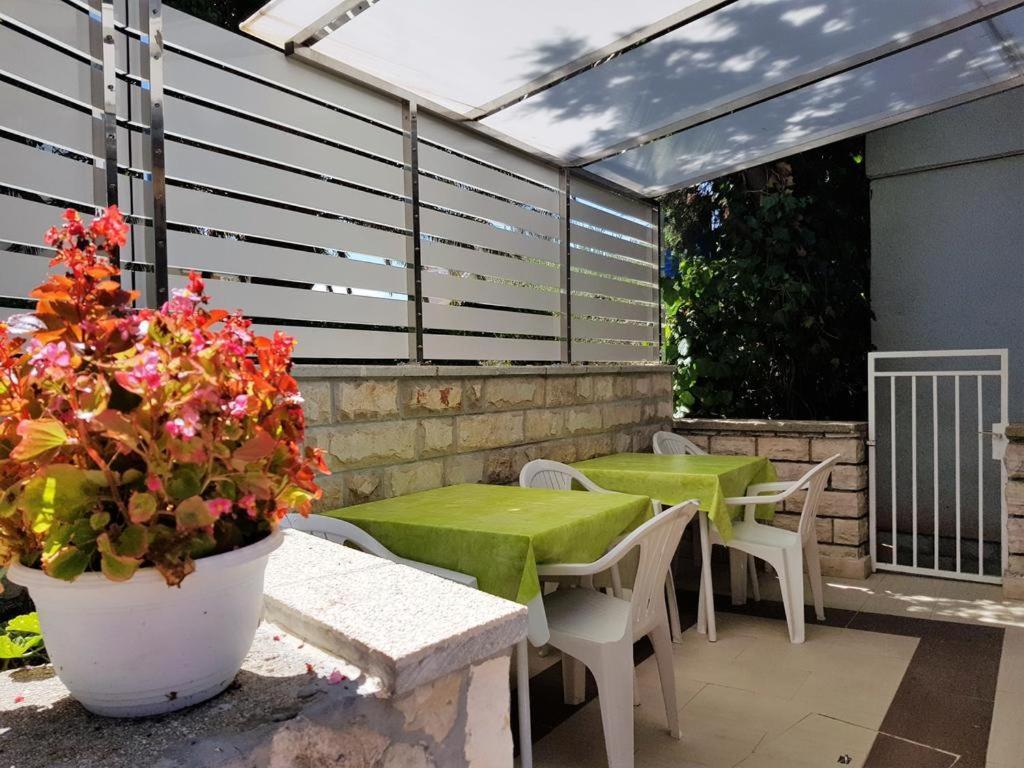 Pool Mansion Magnolia - Comfort Rooms Novalja Extérieur photo